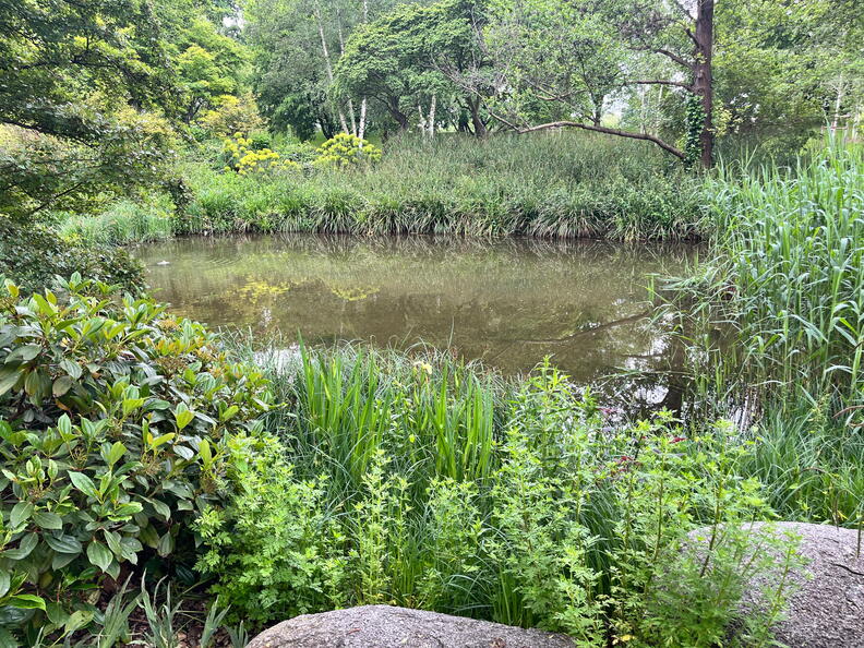 23-05-16 12-58-44 5407